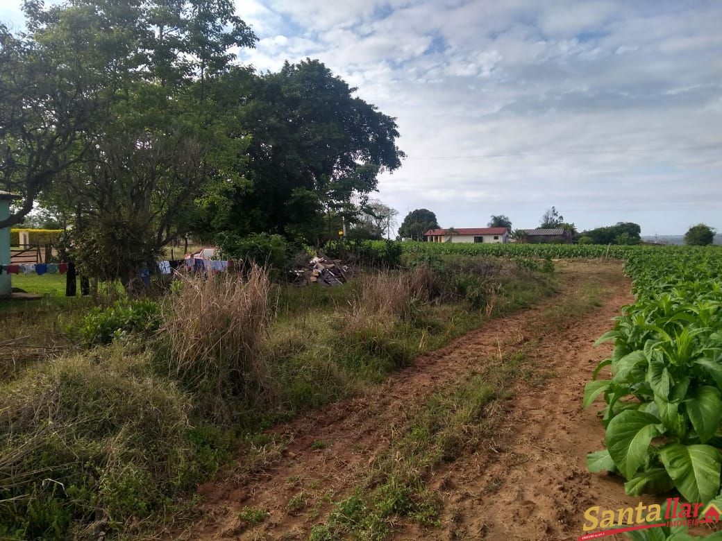 Fazenda à venda com 3 quartos, 833330000m² - Foto 5