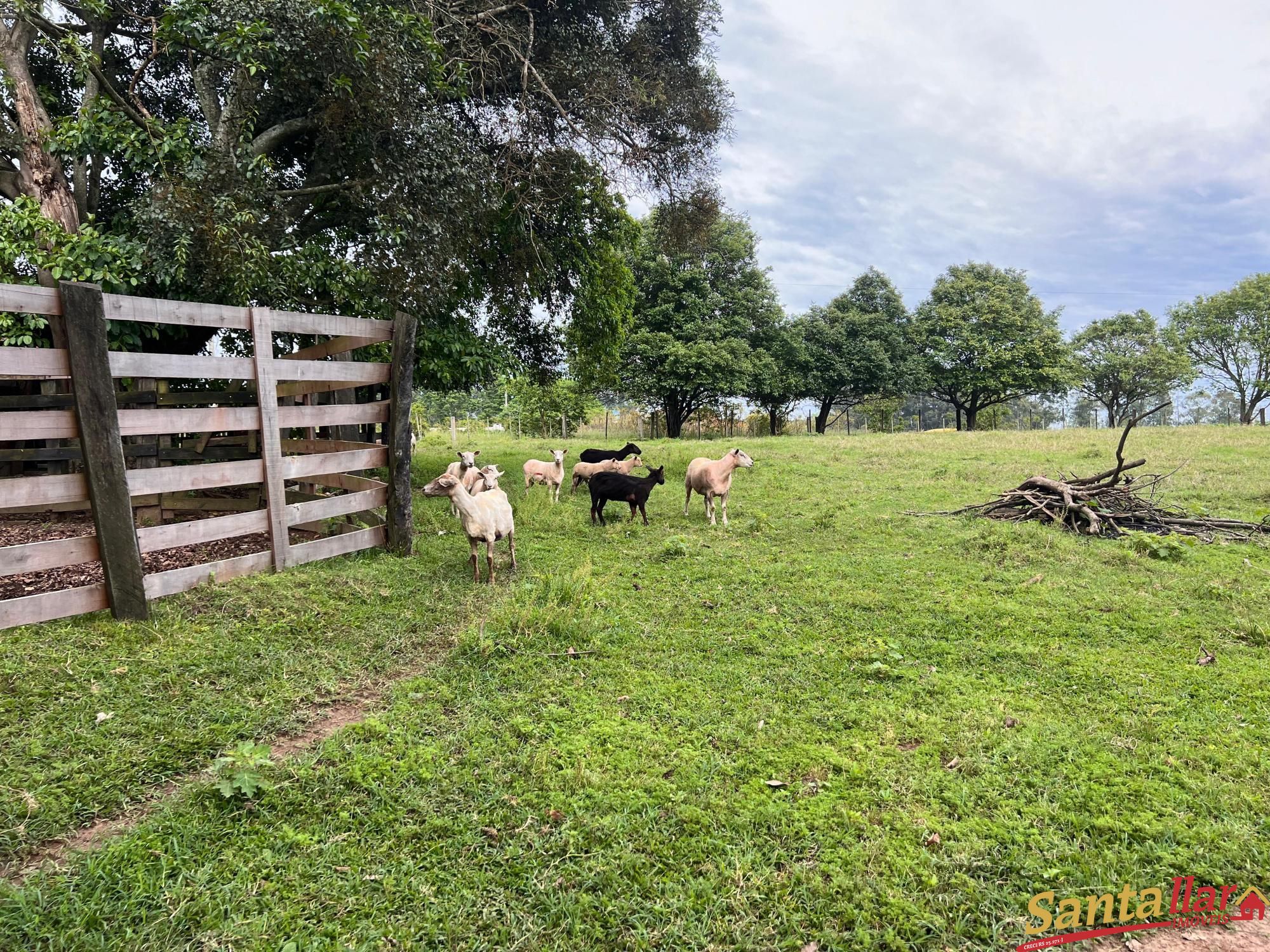 Fazenda à venda com 3 quartos, 120m² - Foto 12