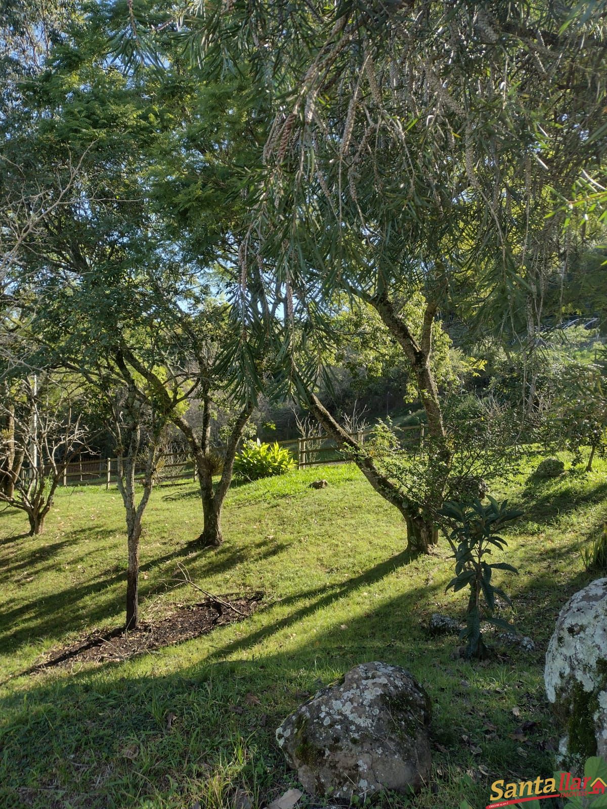 Fazenda à venda com 2 quartos, 335m² - Foto 25