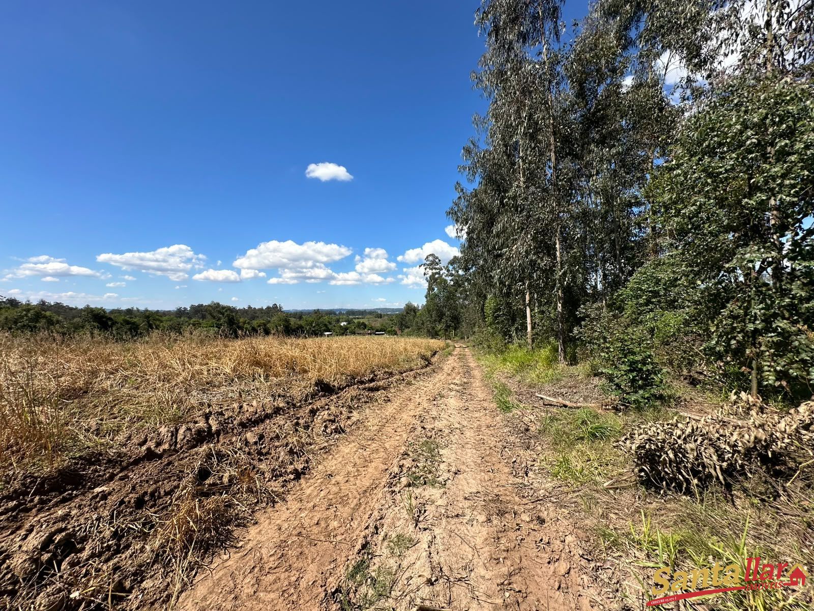 Chácara, 10 hectares - Foto 14