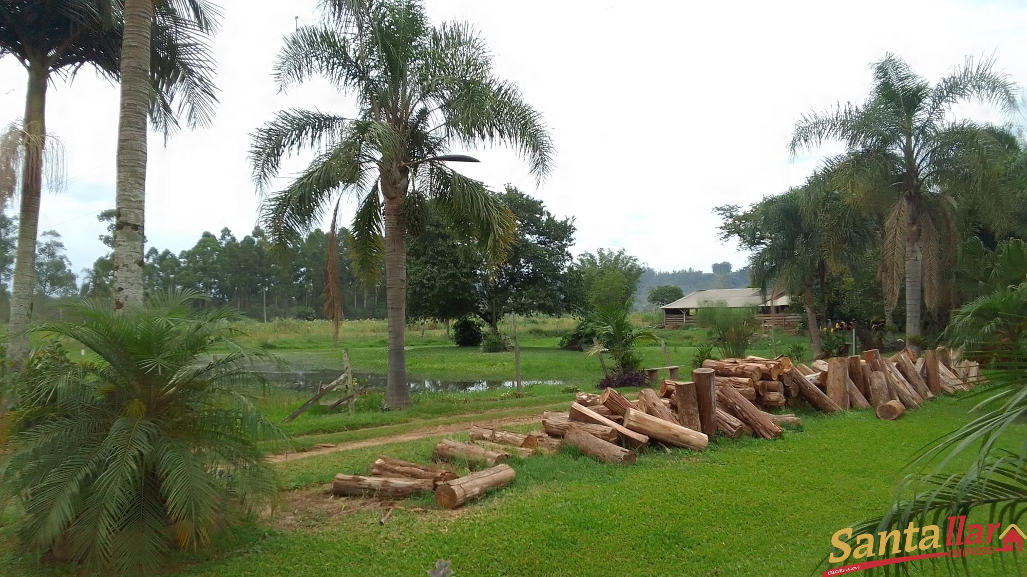 Fazenda à venda com 4 quartos, 179m² - Foto 5