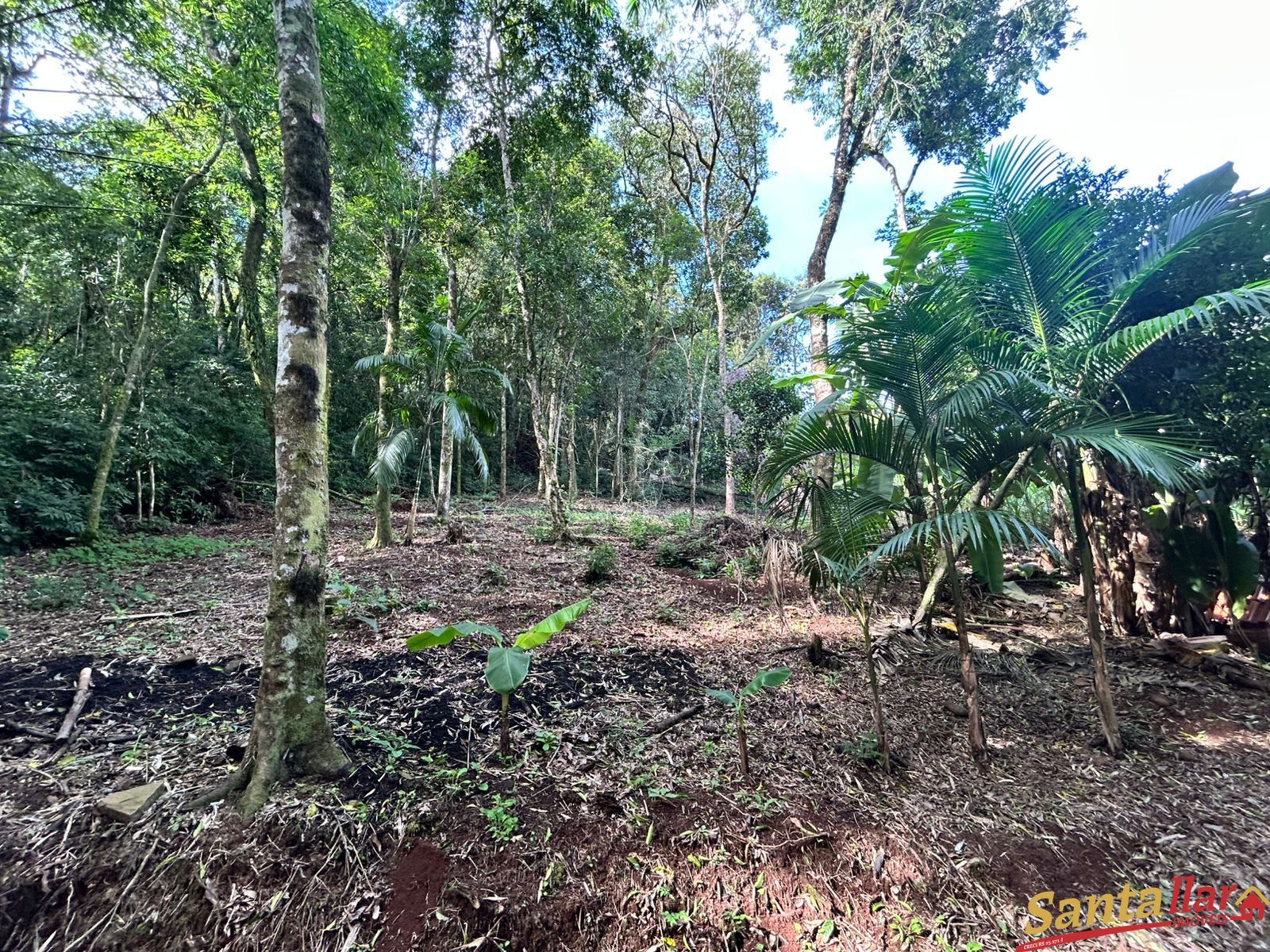 Chácara, 1 quarto, 6000 m² - Foto 32