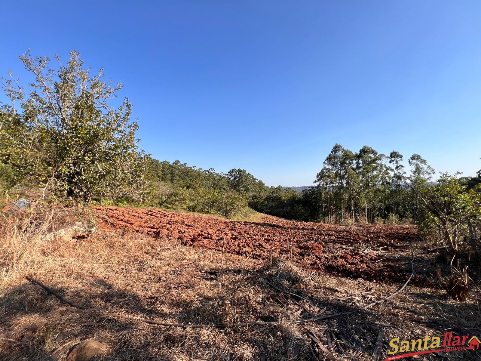 Fazenda à venda com 3 quartos, 200m² - Foto 13