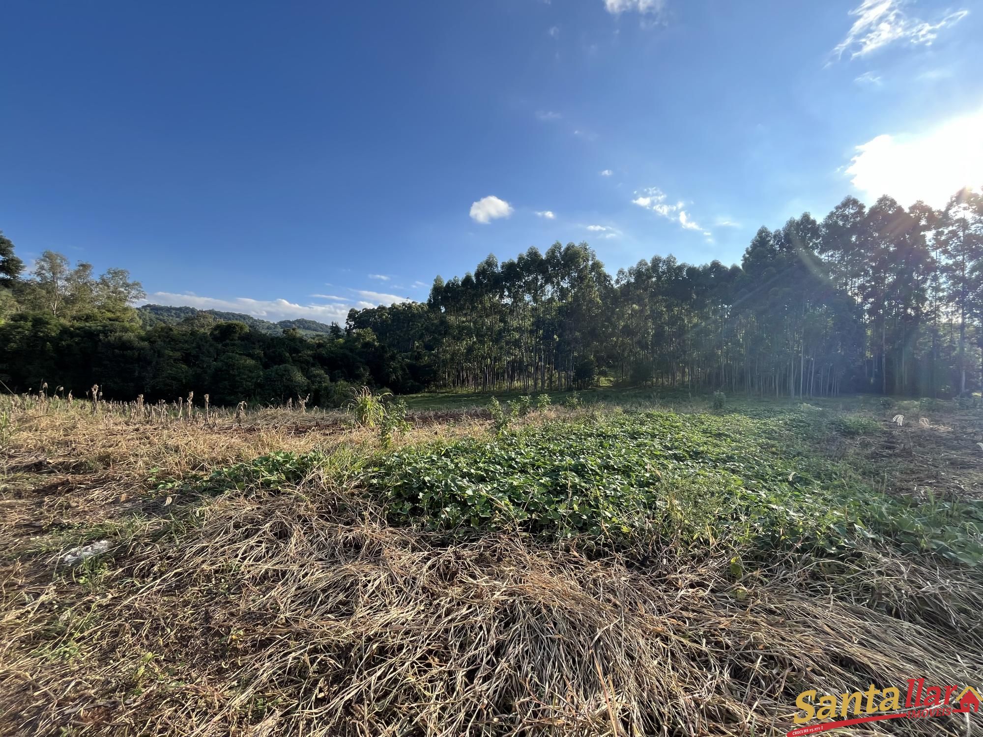 Fazenda à venda com 2 quartos, 96000m² - Foto 18