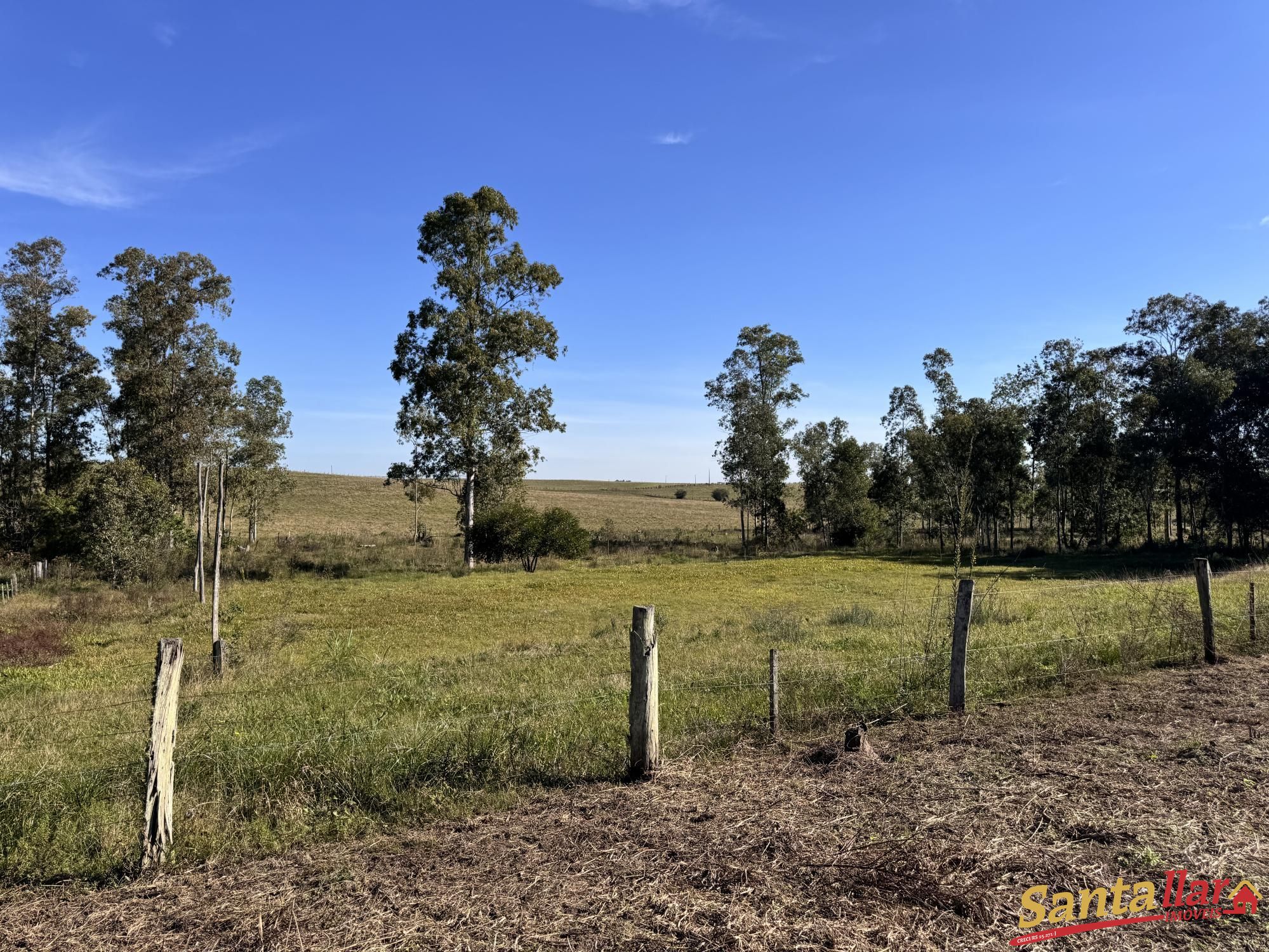Sítio, 3 quartos, 2 hectares - Foto 18