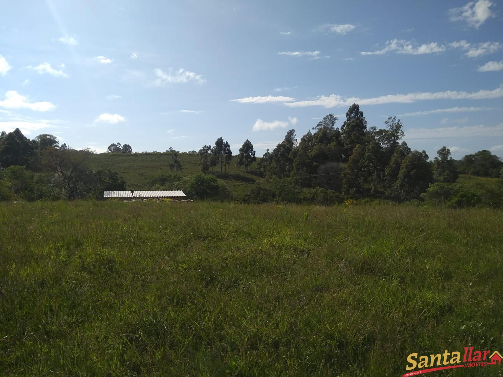 Fazenda à venda com 3 quartos, 833330000m² - Foto 27