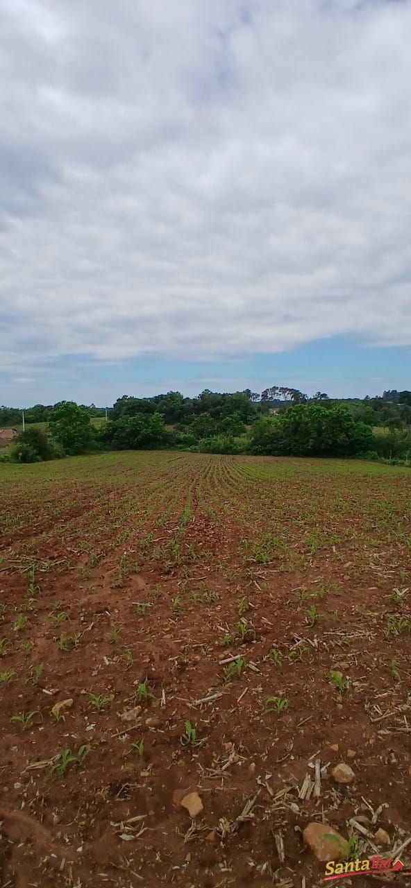 Sítio, 7 hectares - Foto 25
