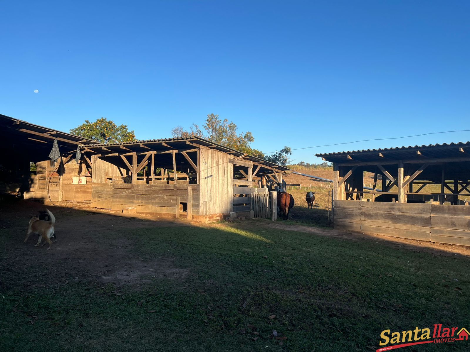 Sítio, 7 hectares - Foto 17