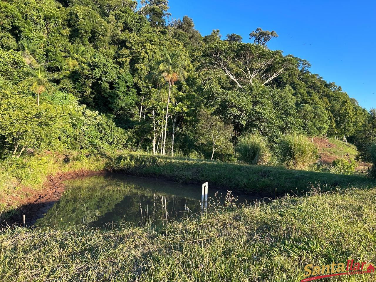 Sítio, 2 quartos, 2 hectares - Foto 6