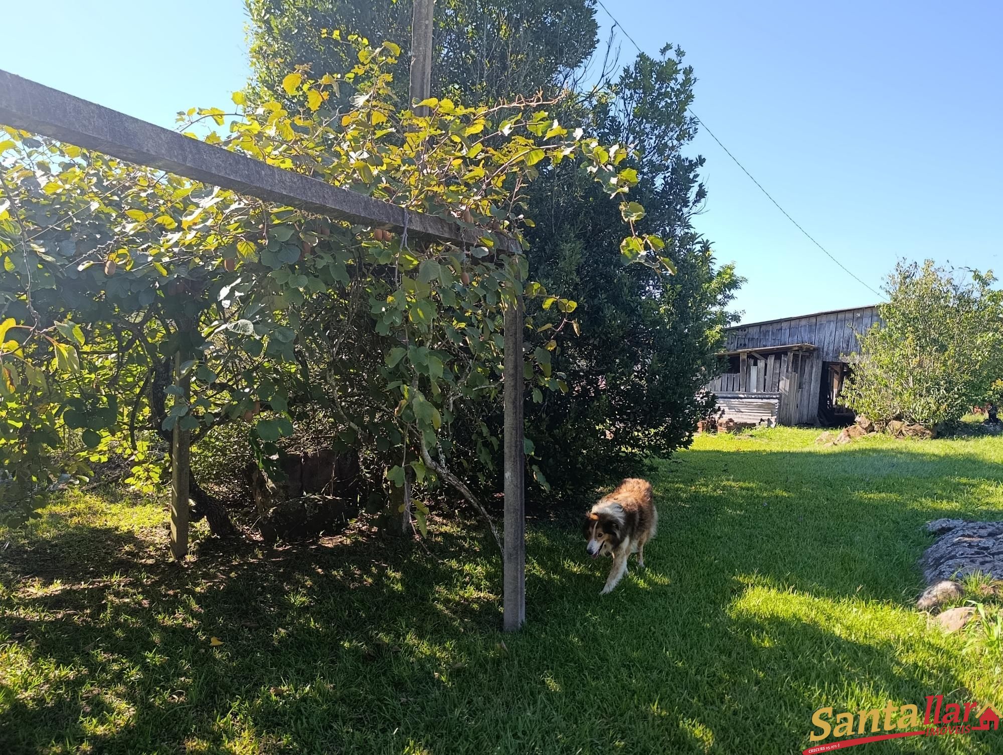 Sítio, 2 quartos, 9 hectares - Foto 13