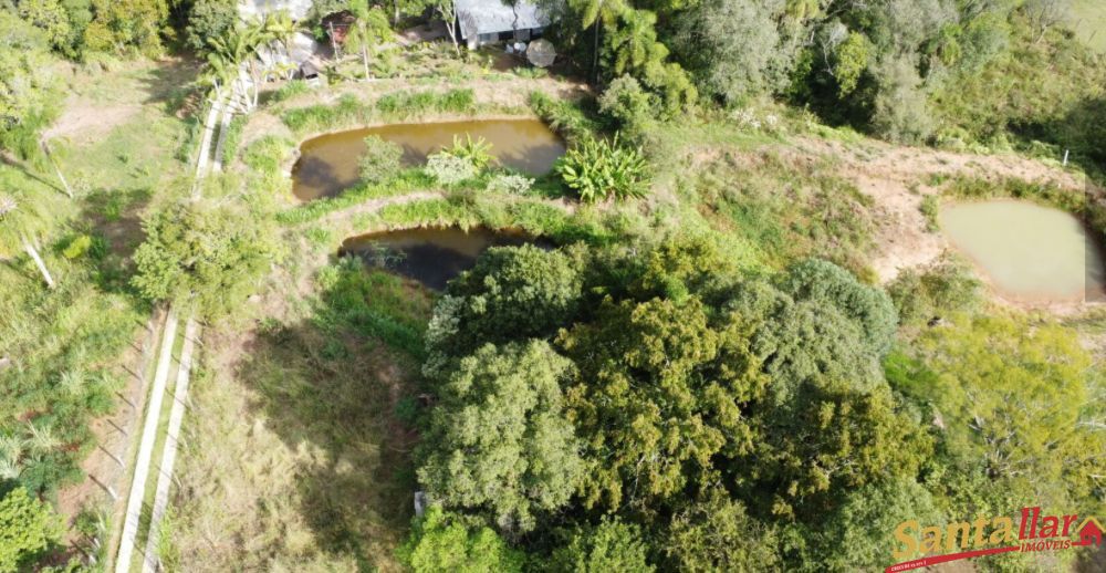 Fazenda à venda com 3 quartos, 10000m² - Foto 19