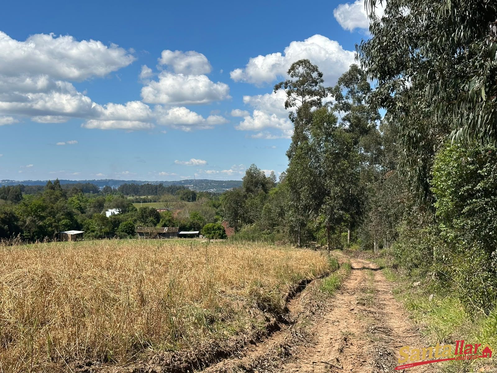 Chácara, 10 hectares - Foto 16