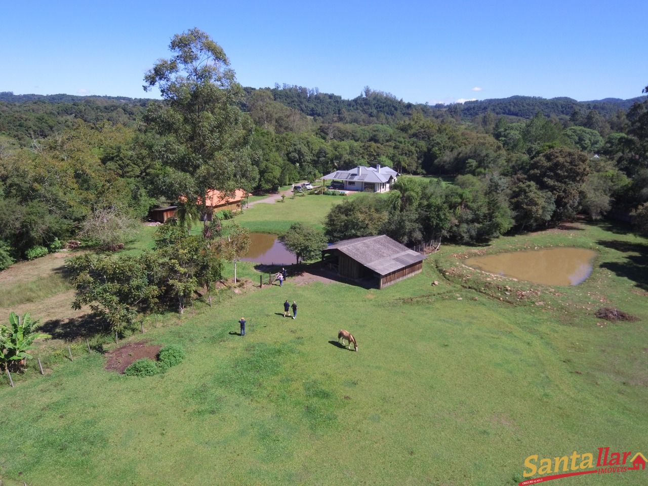 Fazenda à venda com 4 quartos, 264m² - Foto 57