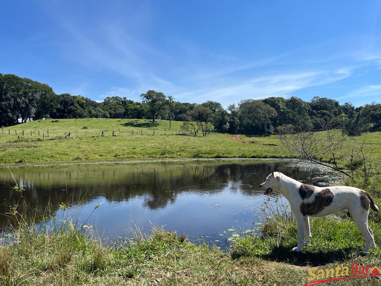 Fazenda à venda com 4 quartos, 120m² - Foto 17