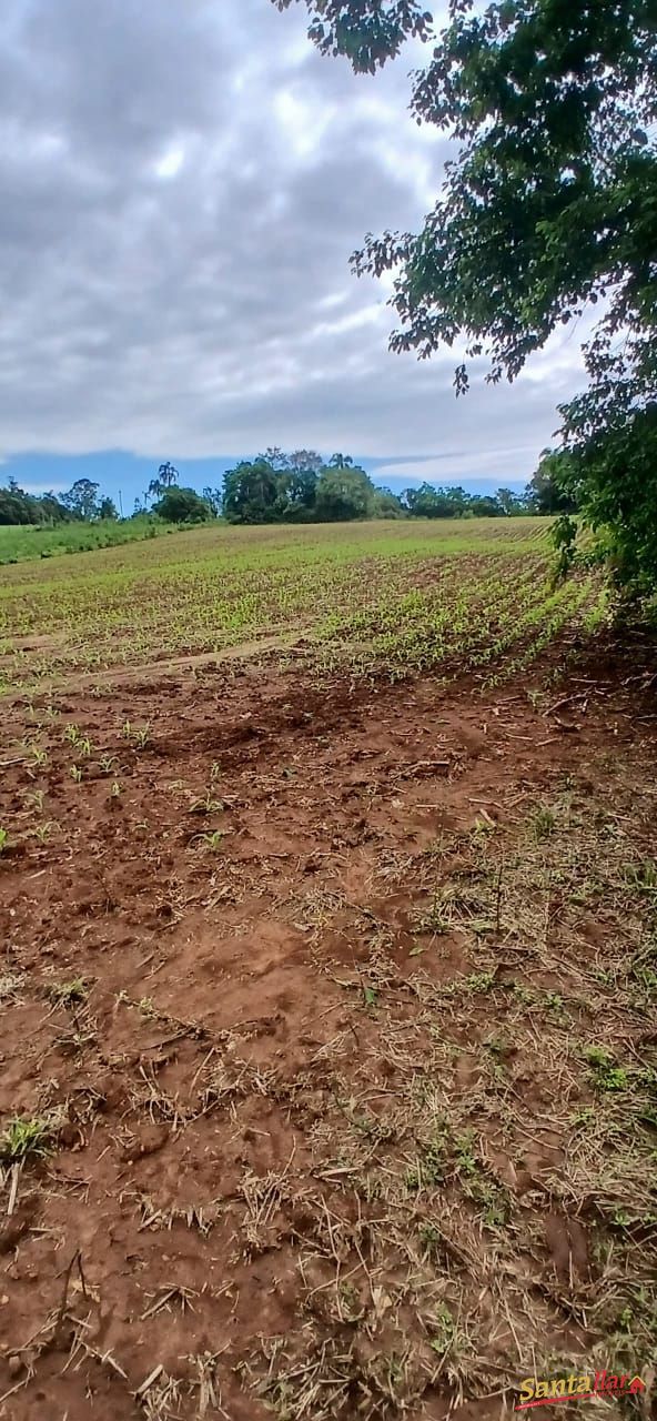 Sítio, 7 hectares - Foto 16