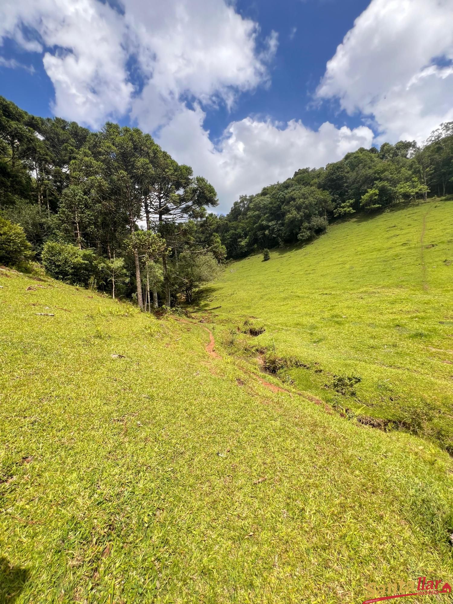 Fazenda à venda com 3 quartos, 130m² - Foto 13