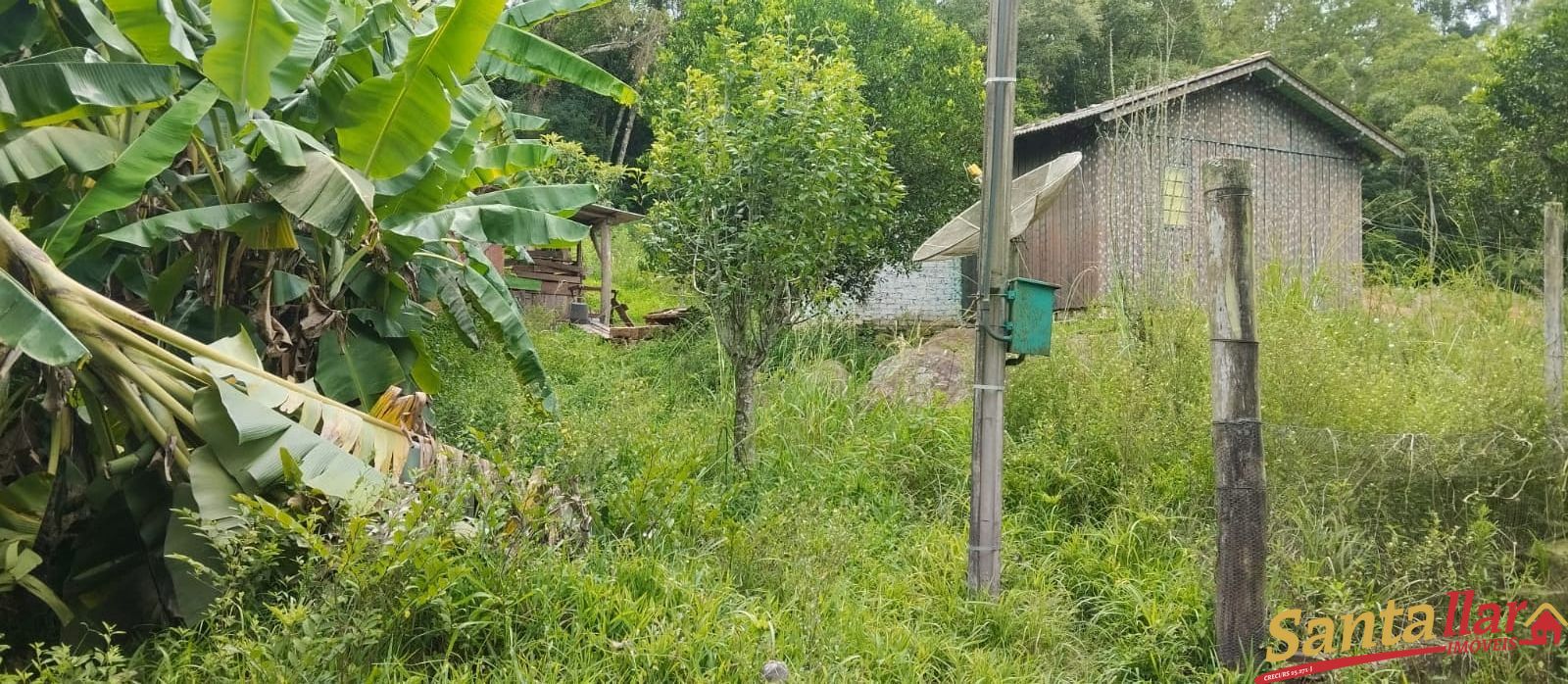 Fazenda à venda com 2 quartos, 100m² - Foto 6