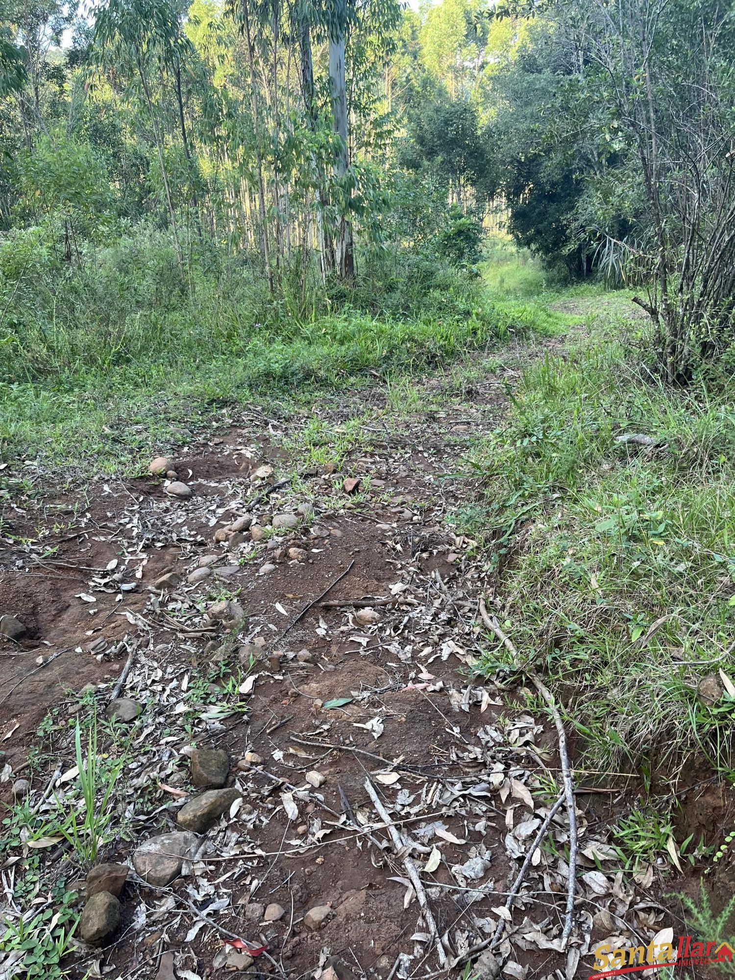 Fazenda à venda com 2 quartos, 96000m² - Foto 20