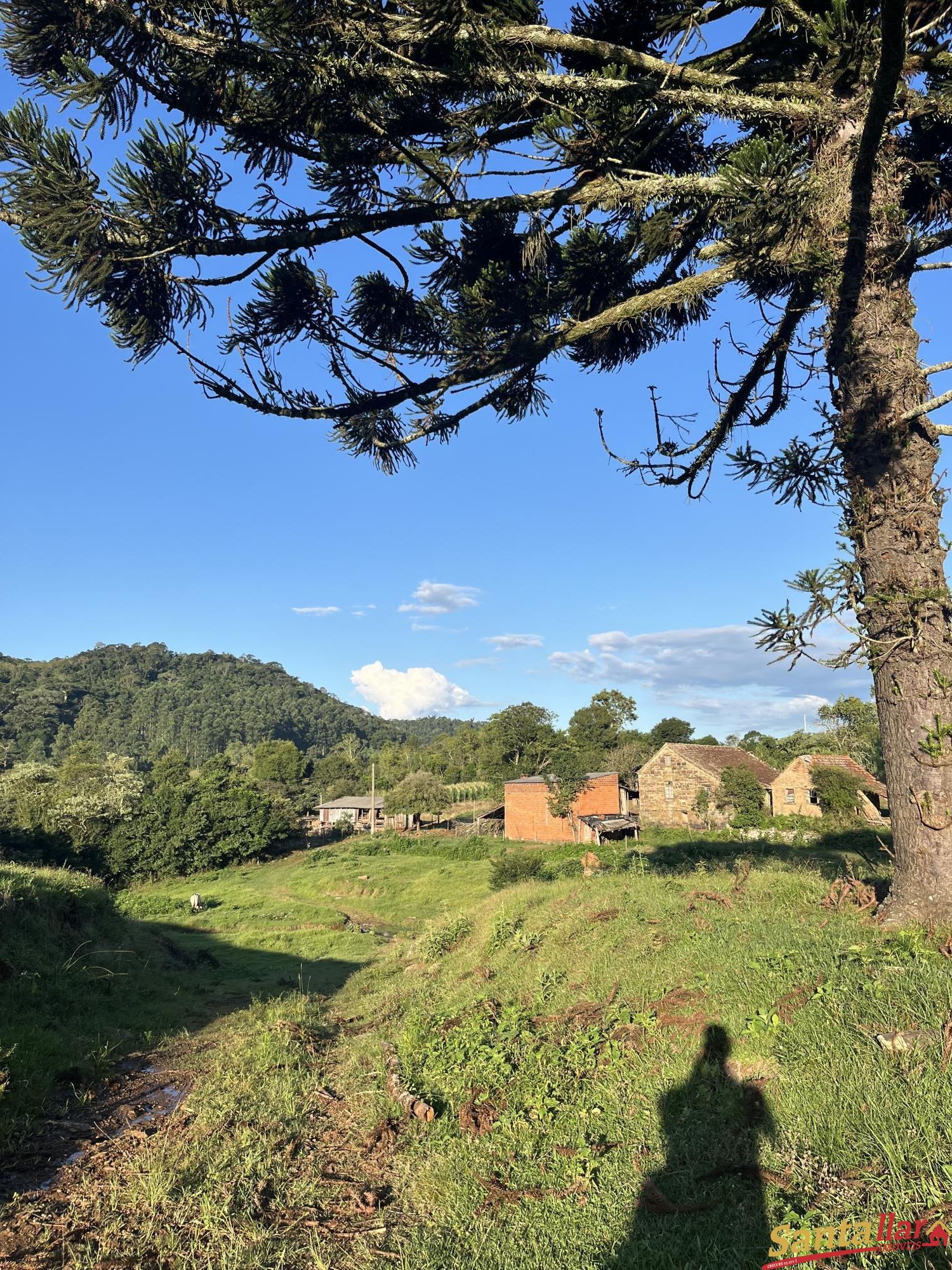 Fazenda à venda com 2 quartos, 96000m² - Foto 21