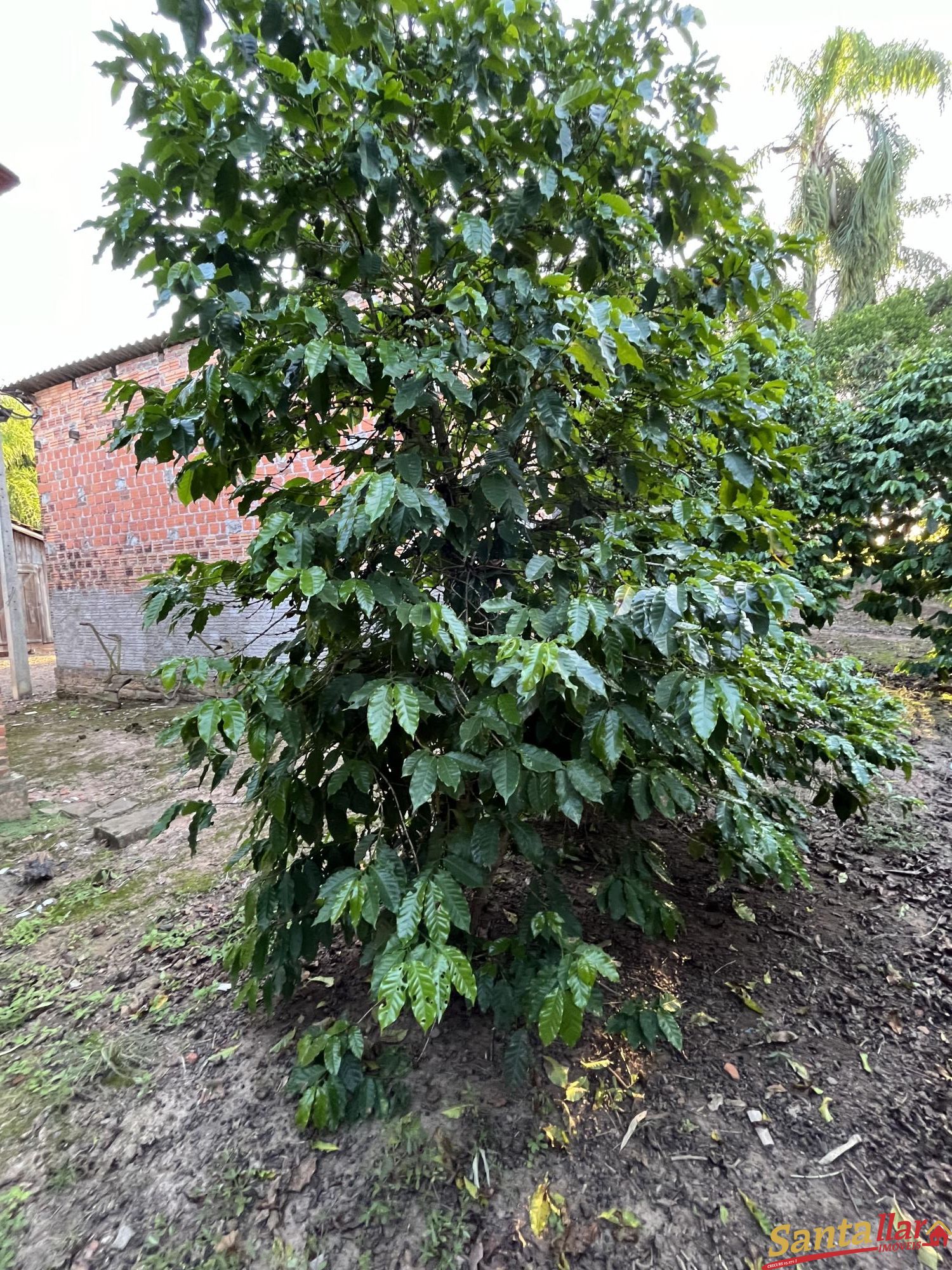 Chácara, 7 quartos, 21 hectares - Foto 15