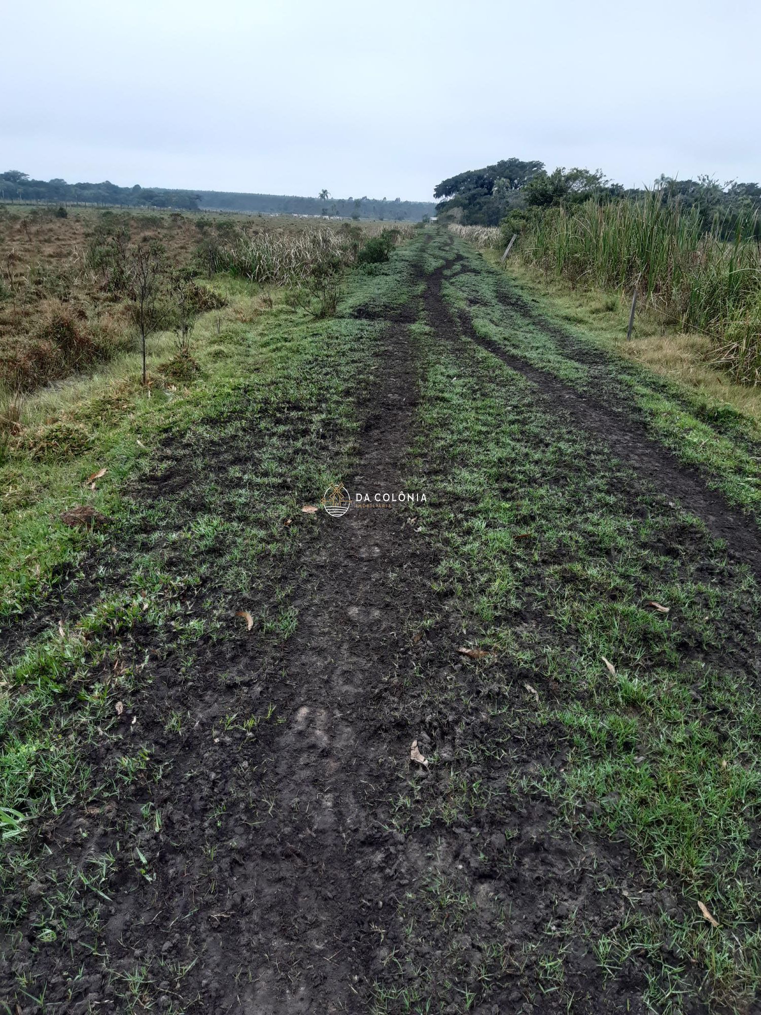Fazenda à venda com 1 quarto, 80m² - Foto 6