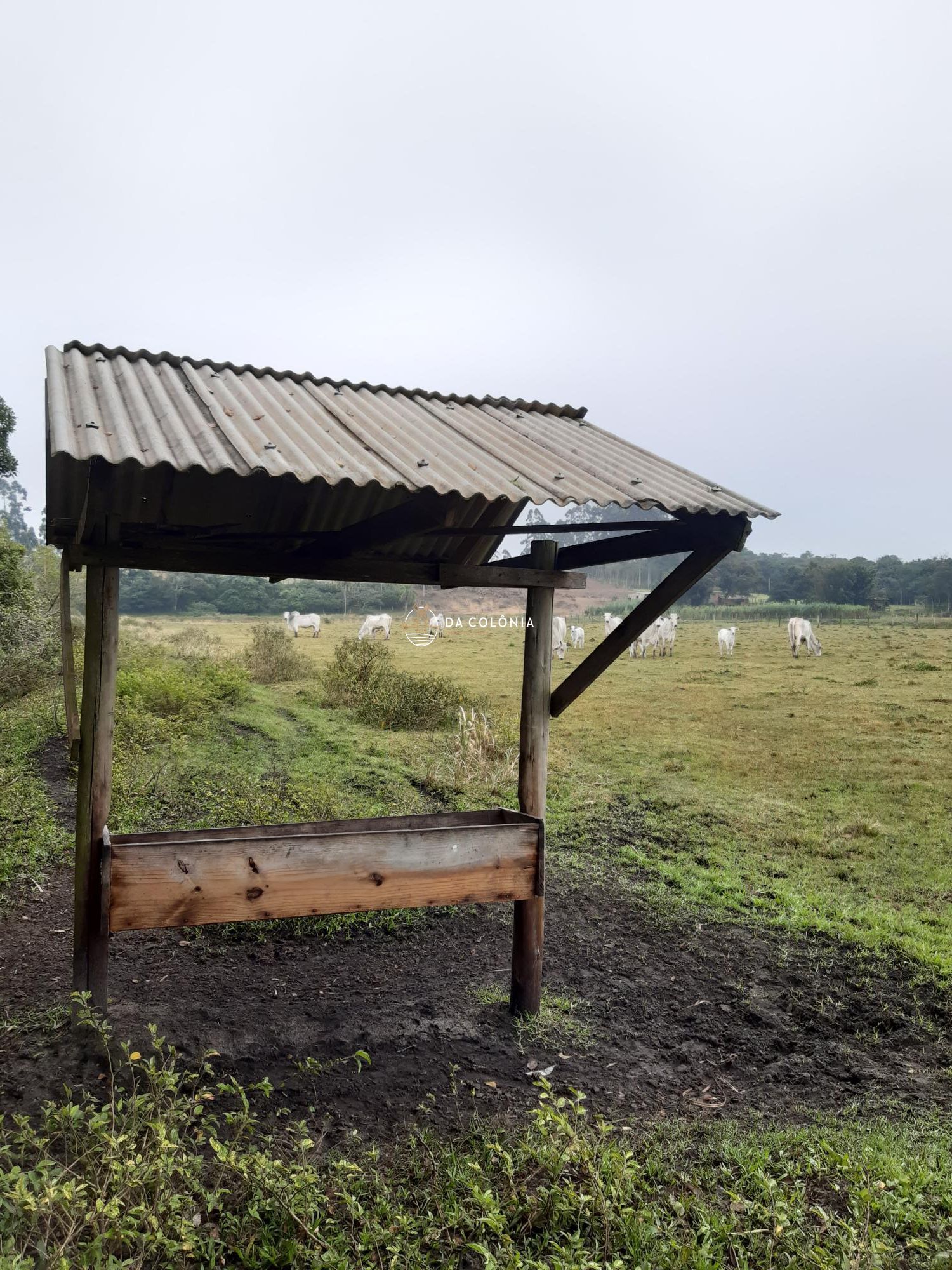 Fazenda à venda com 1 quarto, 80m² - Foto 1