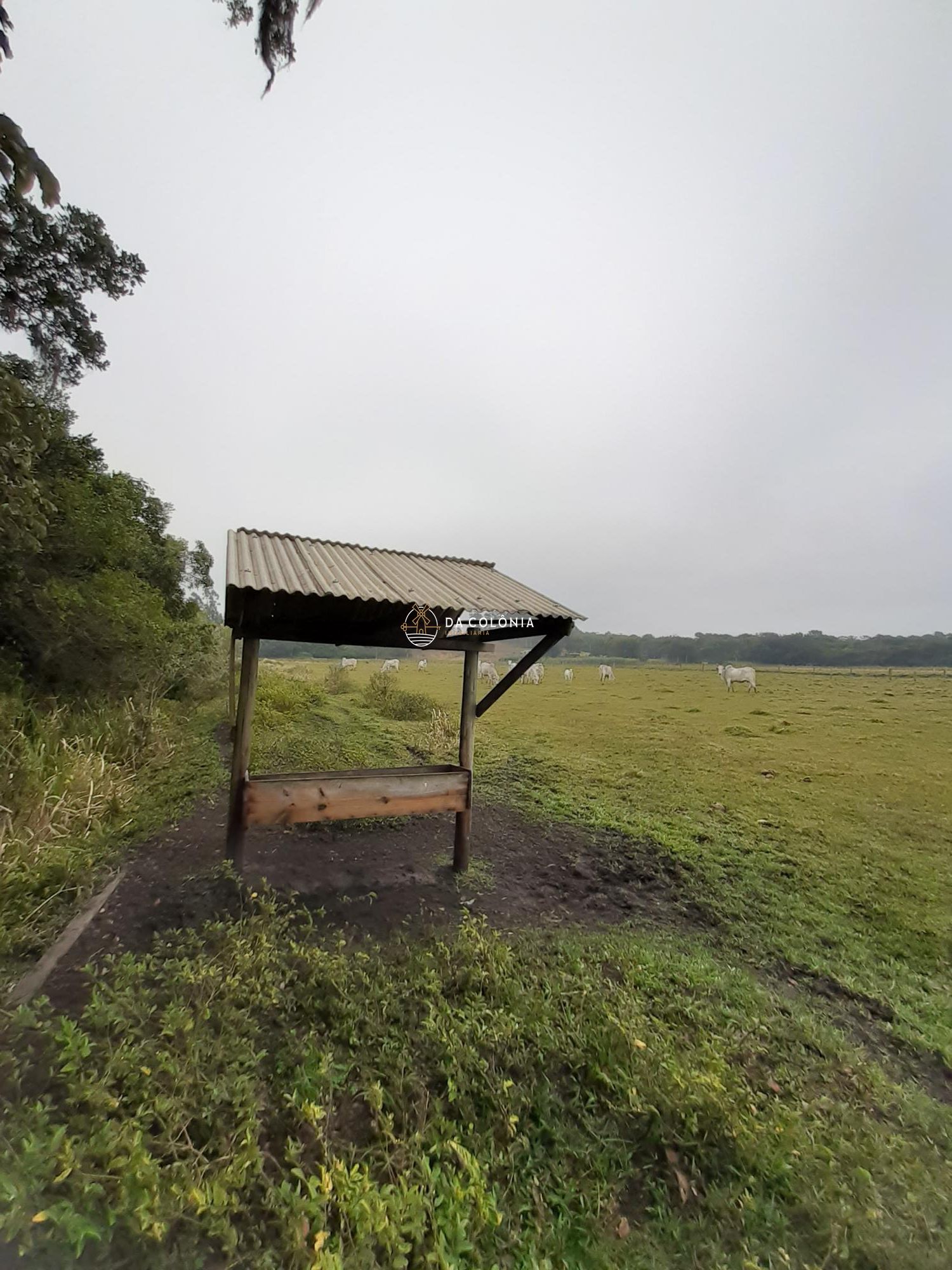 Fazenda à venda com 1 quarto, 80m² - Foto 2