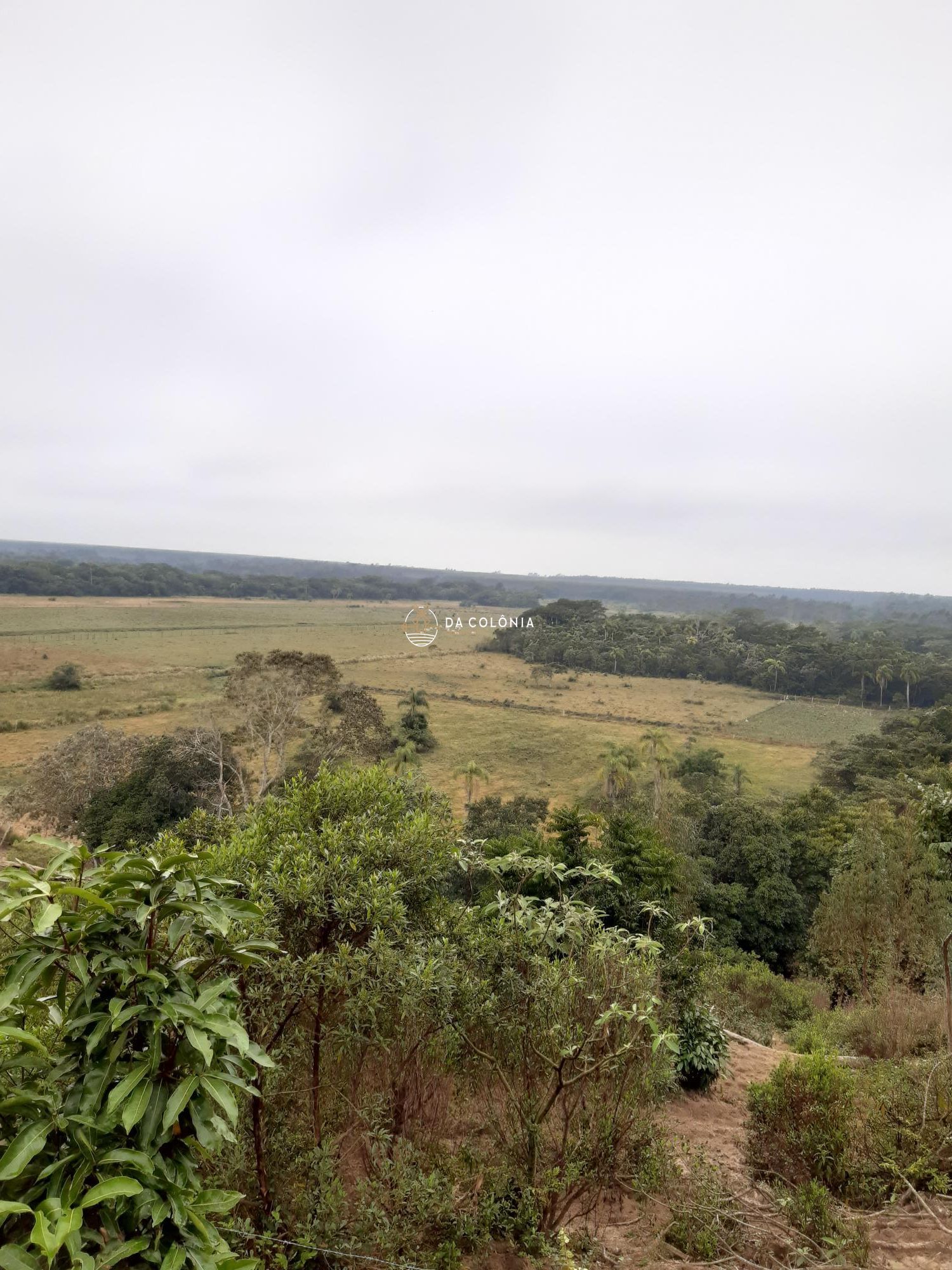Fazenda à venda com 1 quarto, 80m² - Foto 7