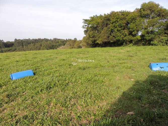 Fazenda à venda com 3 quartos, 1900000square metres - Foto 11