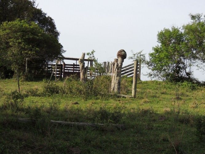 Fazenda, 190 hectares - Foto 29