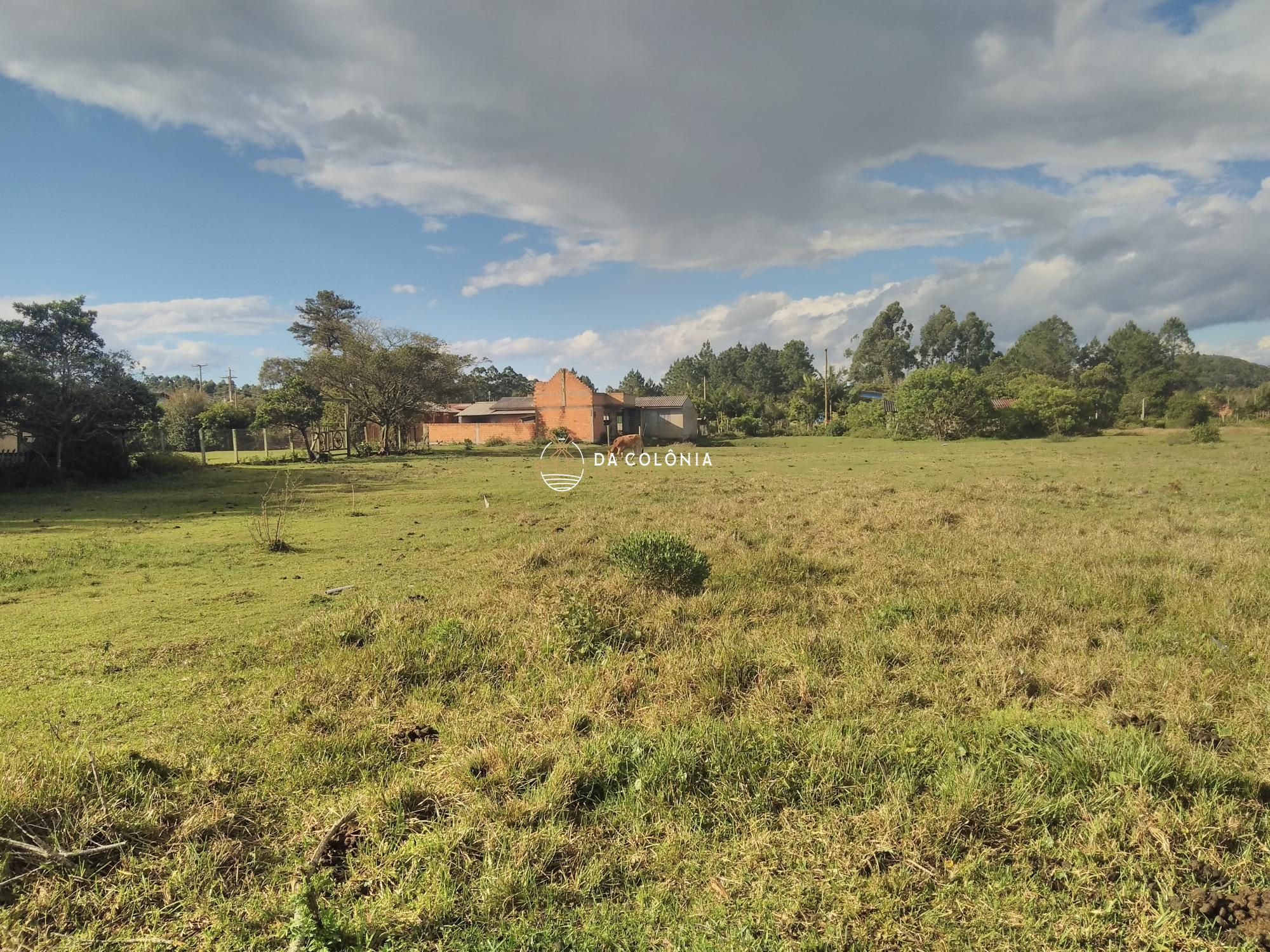 Terreno à venda, 2000square metres - Foto 3