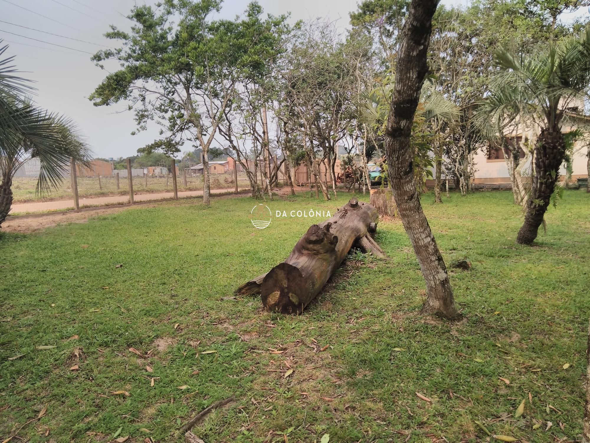 Sítio, 2 quartos, 3000 hectares - Foto 3