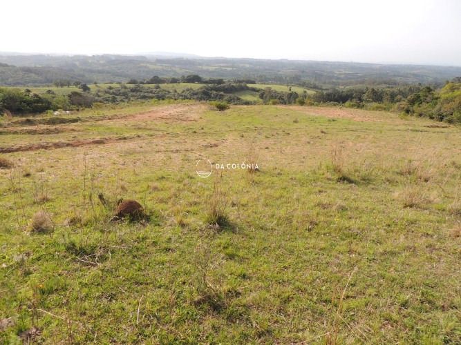 Fazenda à venda com 3 quartos, 1900000square metres - Foto 28