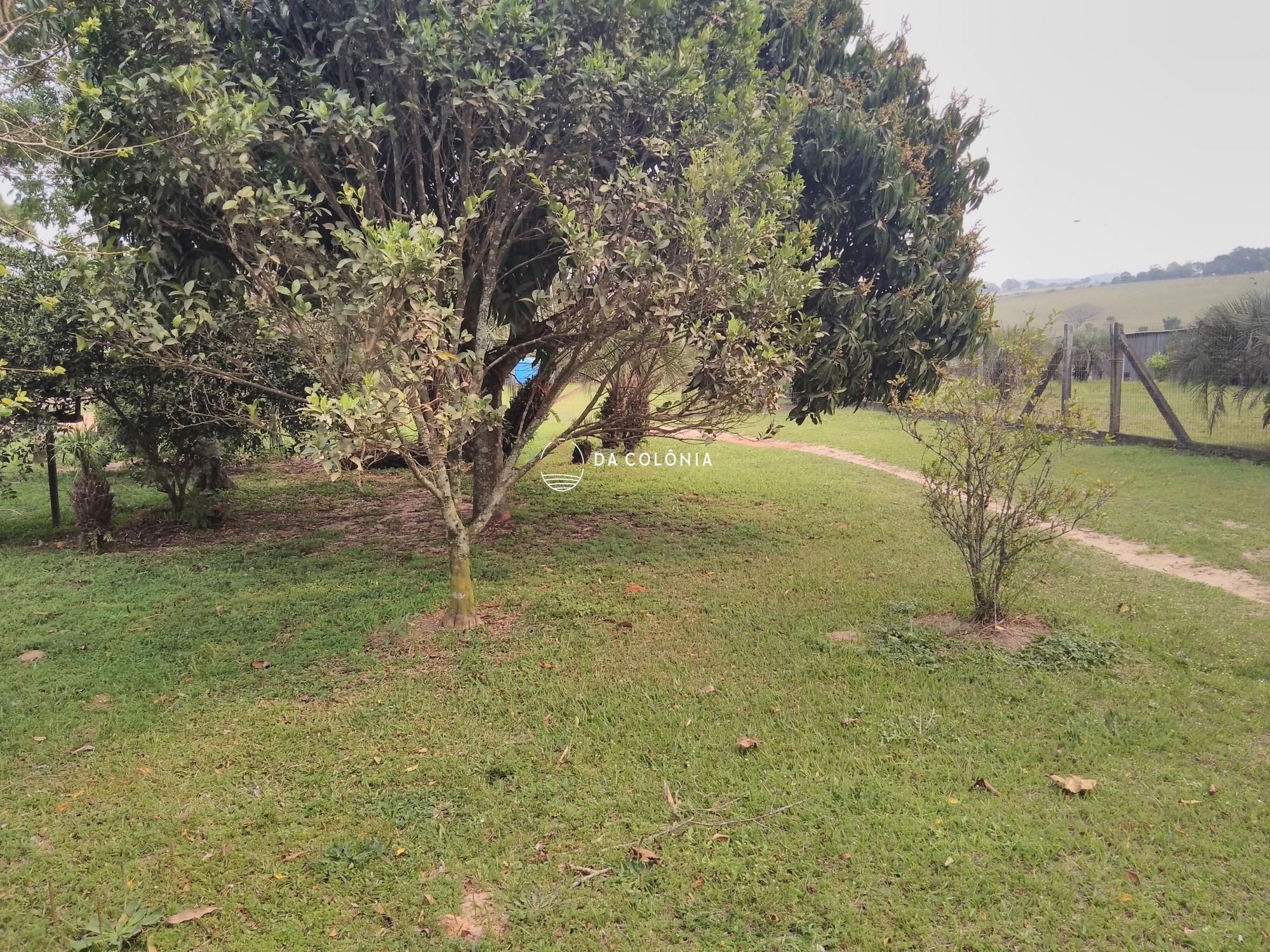 Sítio, 2 quartos, 3000 hectares - Foto 13