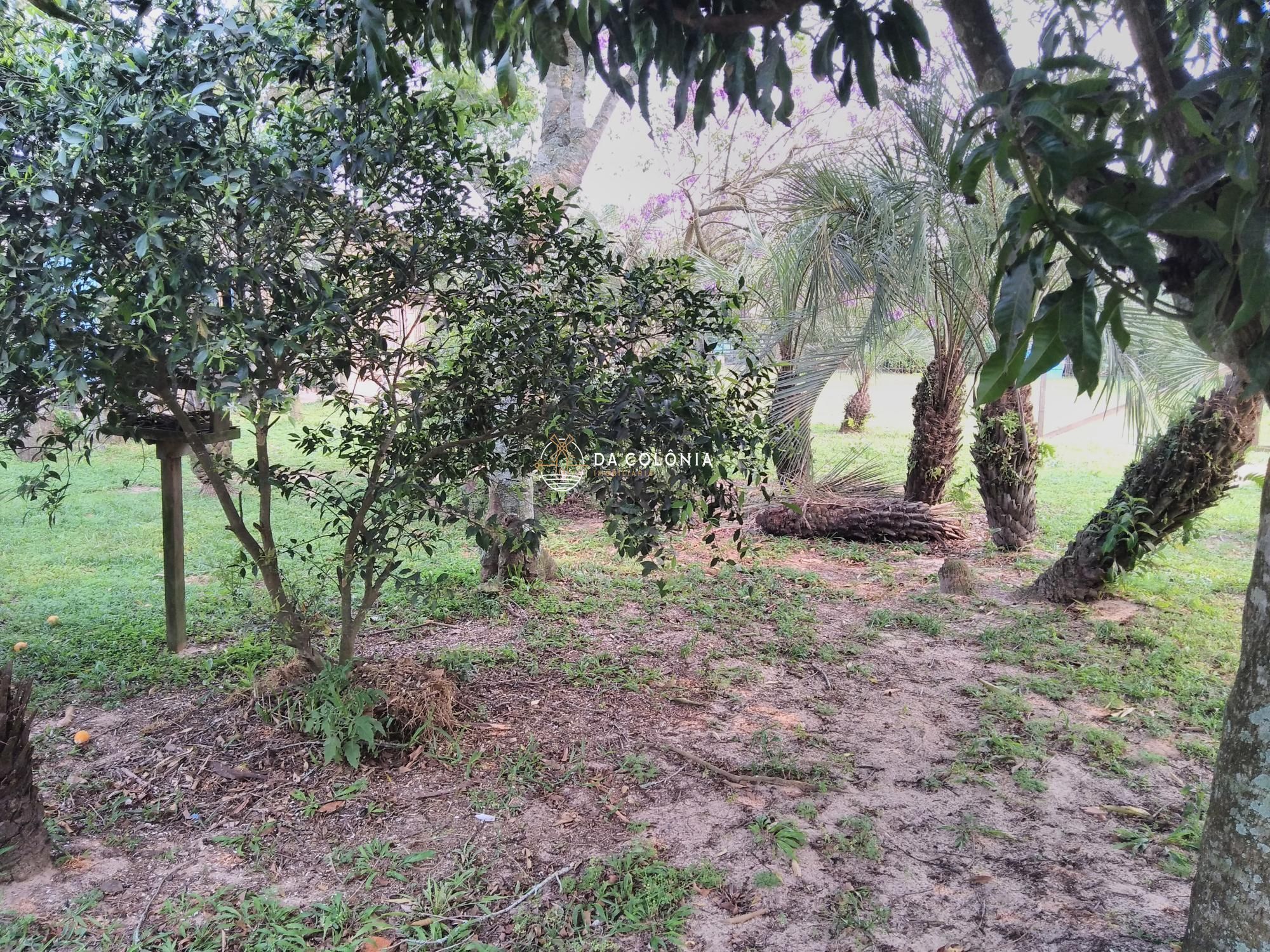 Sítio, 2 quartos, 3000 hectares - Foto 7