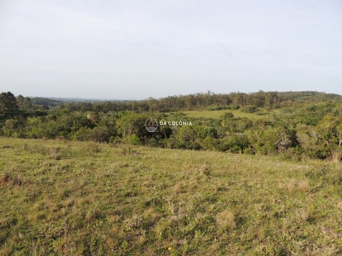 Fazenda, 190 hectares - Foto 18