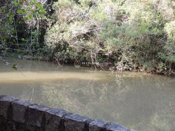 Fazenda, 190 hectares - Foto 26