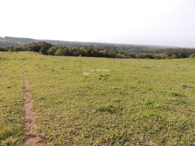 Fazenda, 190 hectares - Foto 15