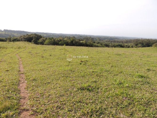 Fazenda à venda com 3 quartos, 1900000square metres - Foto 15