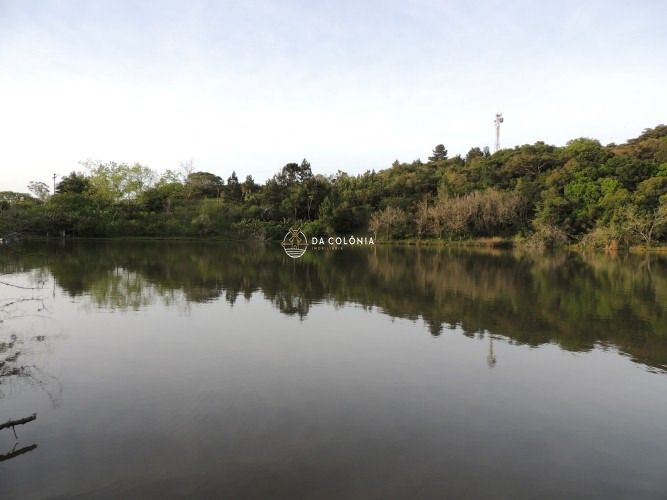 Fazenda, 190 hectares - Foto 31