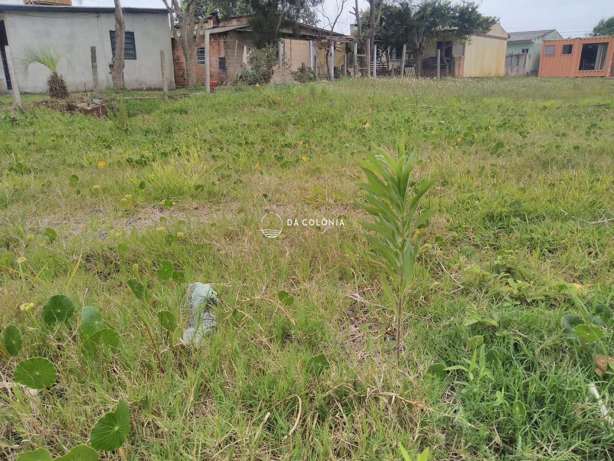 Terreno, 375 m² - Foto 1