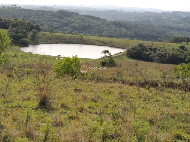 Fazenda, 190 hectares - Foto 34