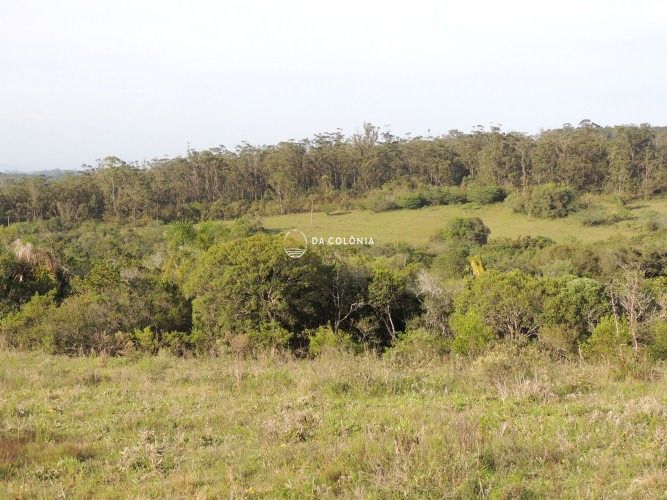 Fazenda, 190 hectares - Foto 17
