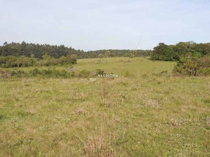 Fazenda, 190 hectares - Foto 21