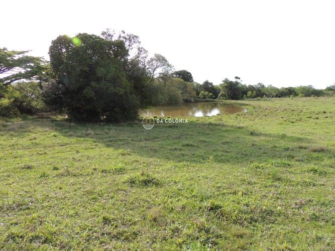 Fazenda, 190 hectares - Foto 16