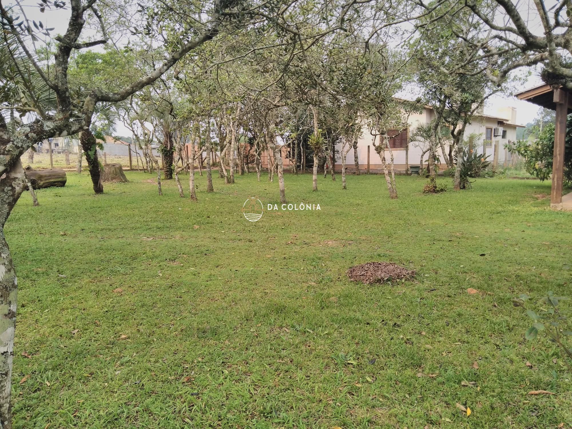 Sítio, 2 quartos, 3000 hectares - Foto 12