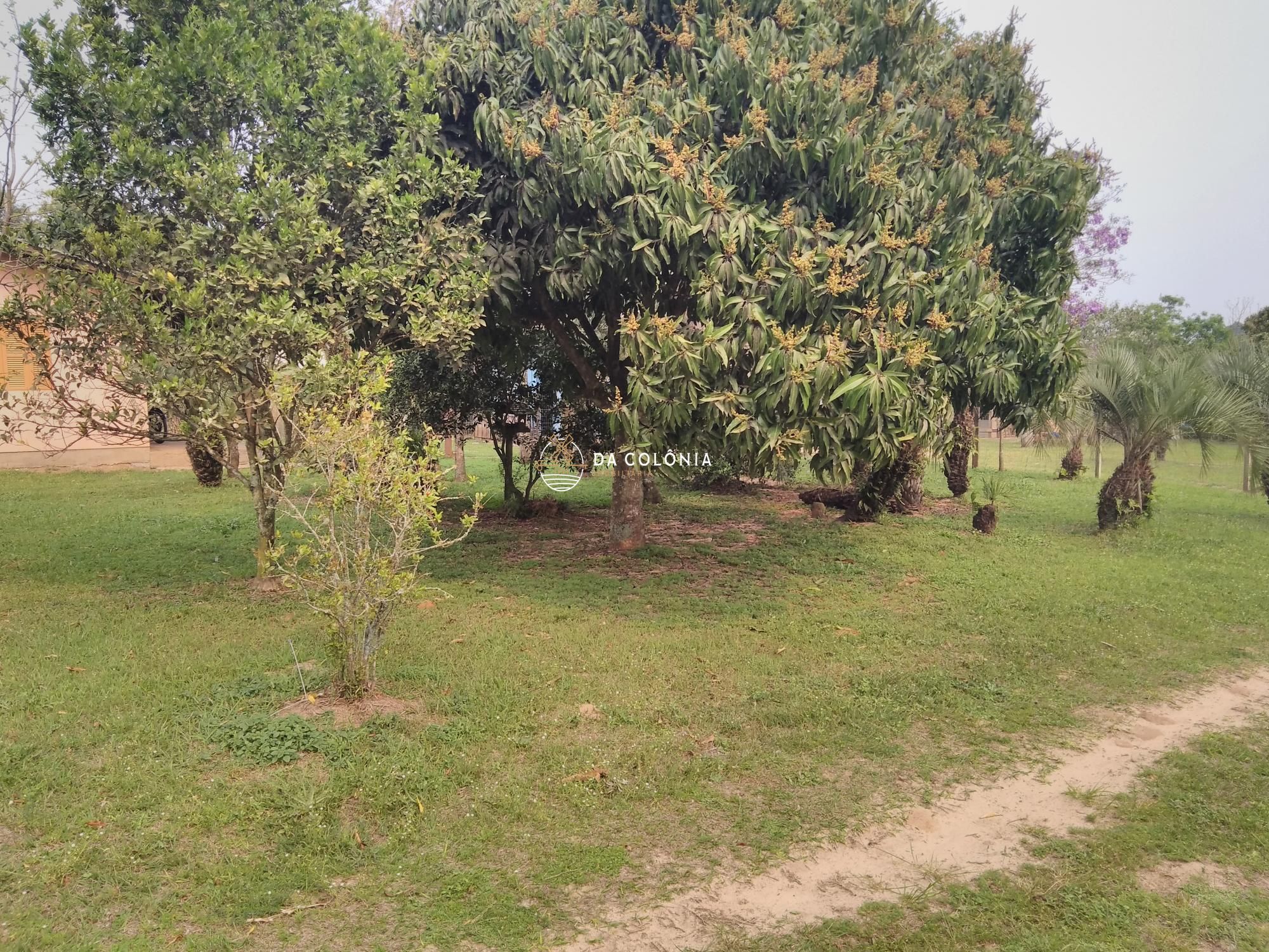 Sítio, 2 quartos, 3000 hectares - Foto 4