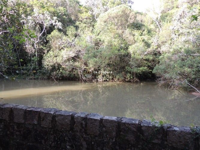 Fazenda, 190 hectares - Foto 27