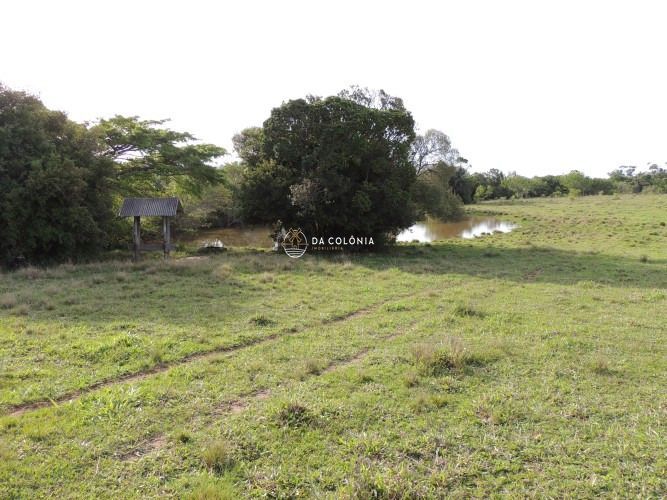 Fazenda, 190 hectares - Foto 13