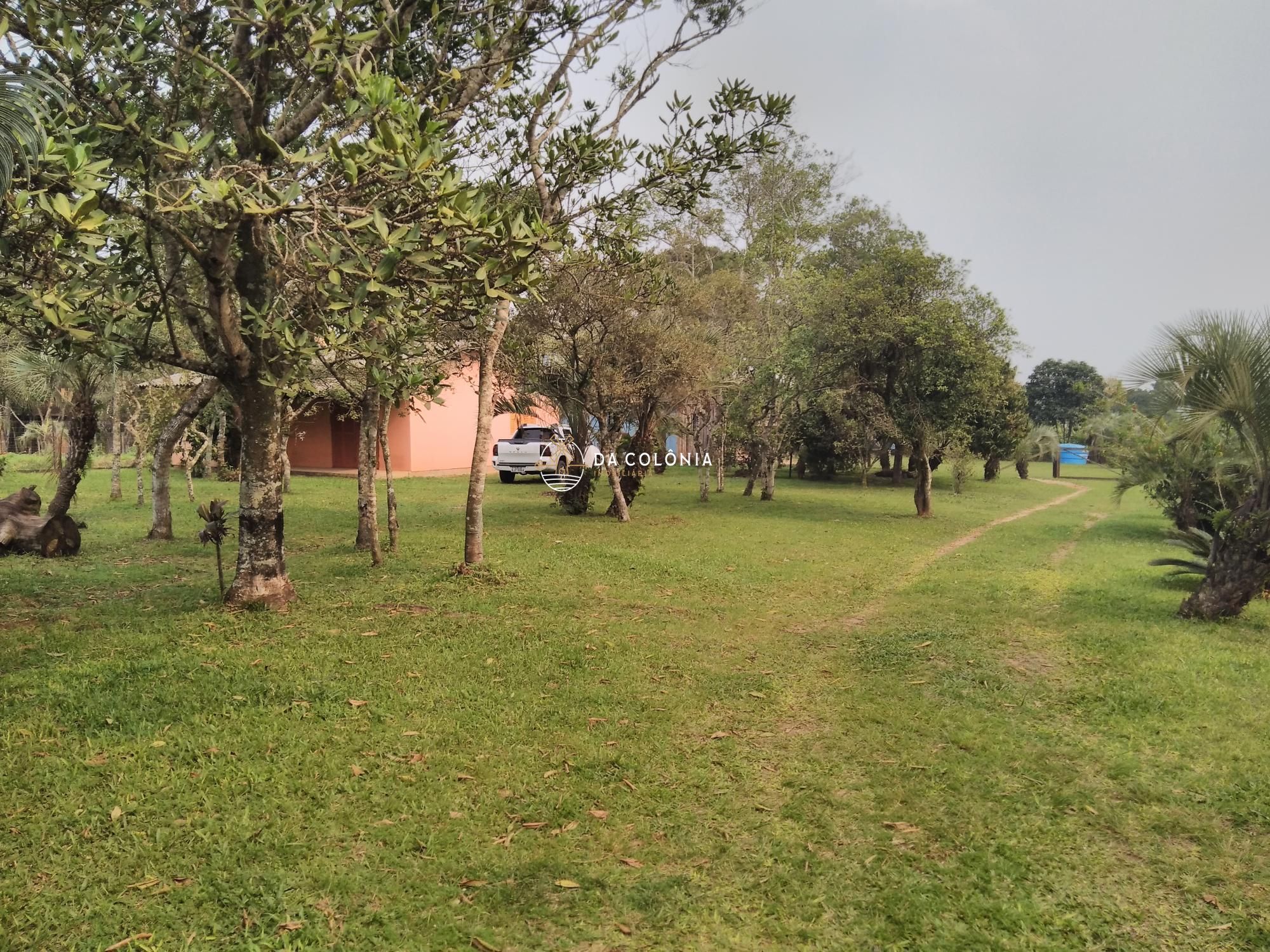 Sítio, 2 quartos, 3000 hectares - Foto 2